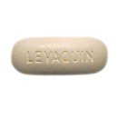 Today special price for levaquin