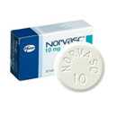 Today special price for norvasc